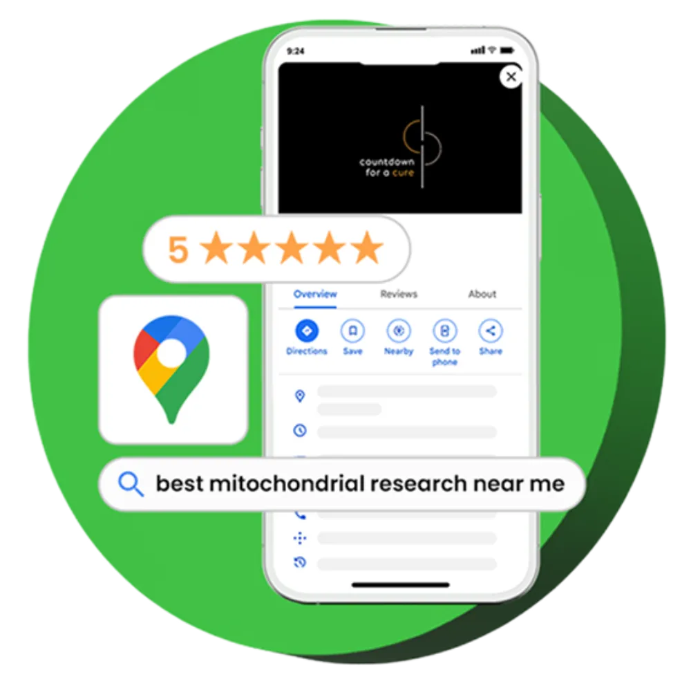 SEO & Scalable Digital Presence