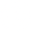 Vector Icon